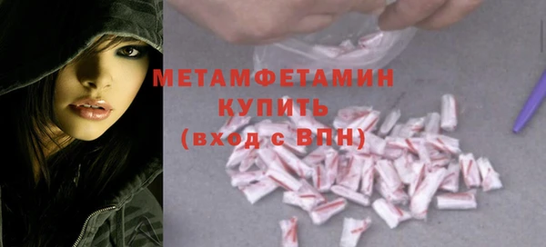 прущие грибы Заводоуковск