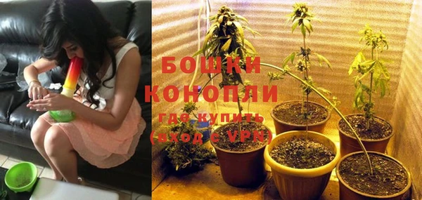 PSILOCYBIN Арсеньев