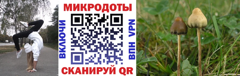 MEGA tor  Ишимбай  Галлюциногенные грибы Psilocybe 